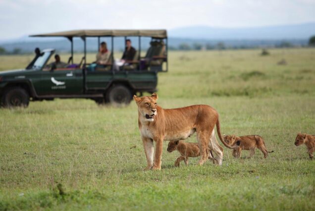 10 Day Ultimate Tanzania Experience - Image 3