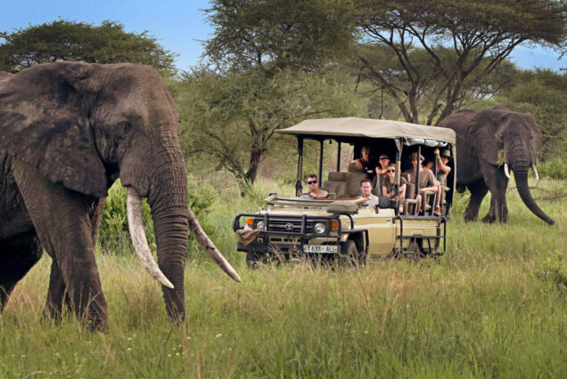 10 Day Ultimate Tanzania Experience - Image 2