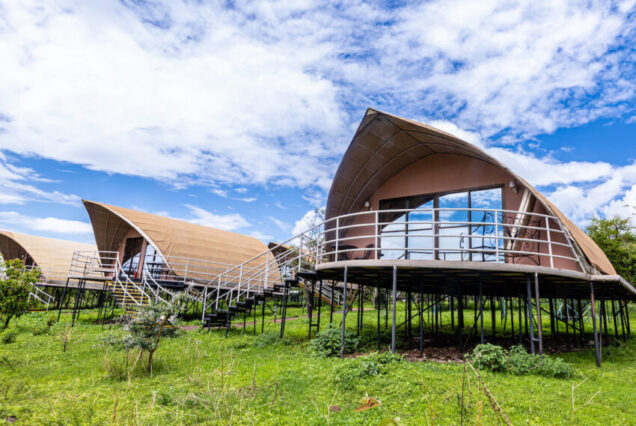 10 Day Ultimate Tanzania Experience - Image 7